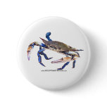 BlueCrabBlues Collection