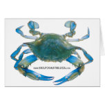 BlueCrabBlues Collection