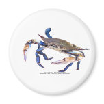 BlueCrabBlues Collection