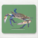 BlueCrabBlues Collection
