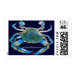BlueCrabBlues Collection
