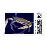 BlueCrabBlues Collection