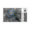 bluedaisy2 postage