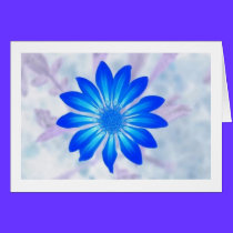 BlueDaisy cards by Passport2Heaven BlueDaisy cards