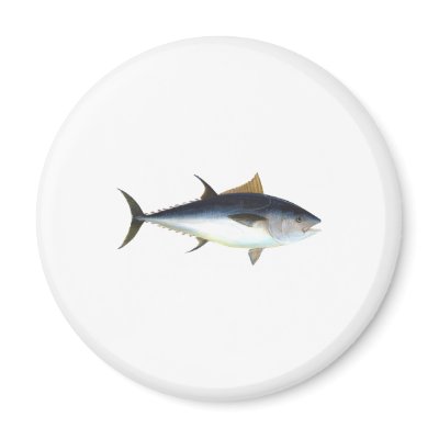 Bluefin Tuna Refrigerator Magnet by fish_fishing_seafood