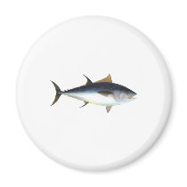 Bluefin Tuna magnets