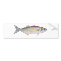 Bluefish bumper stickers