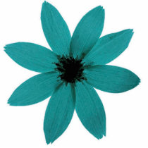 blueflower photo sculptures by cloeyandjoey blueflower photo sculptures