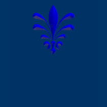 BlueFluor - Customized t-shirts