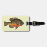 Bluegill Bream Bag Tags