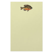 Bluegill Fish Custom Stationery