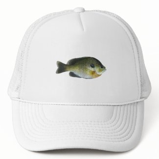 Bluegill Sunfish Photo hat