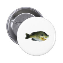 Bluegill Sunfish Photo Pin