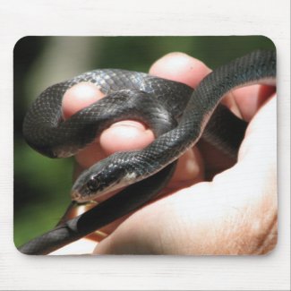 Blueish Black Racer mousepad
