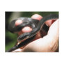 Blueish Black Racer Post Card