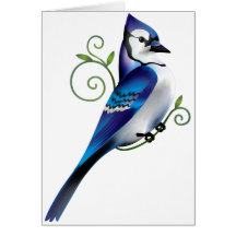 Bluejay Day Card