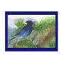 Bluejay In Muskeg Post Card