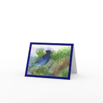 Bluejay In the Muskeg cards by cnlbell Bluejay In the Muskeg cards