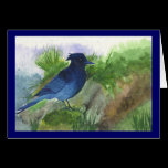Bluejay In the Muskeg cards