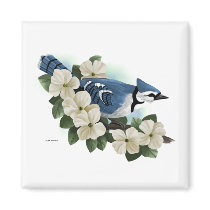 Bluejay magnets