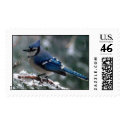 Bluejay postage by kokobaby Bluejay postage