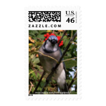 BlueJay Postage Stamps (vertical) by ForTheAnimals BlueJay Postage Stamps (vertical)