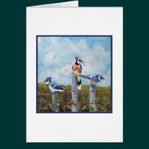 Bluejays cards