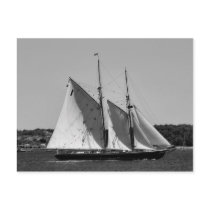 Bluenose II Postcard