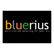 bluerius.com banner posters