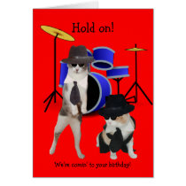 Blues Brothers Cats Cards