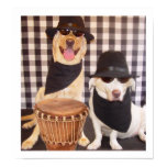 Blues Brothers Labs Blues Brothers Labs