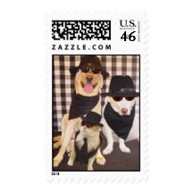 Blues Labs & Cool Cat Postage Stamp