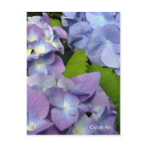 "Bluest Blue Hydrangeas" Notes & Stamps postcards by CaroleArt "Bluest Blue Hydrangeas" Notes & Stamps postcards