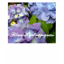 "Bluest Blue Hydrangeas" T t-shirts by CaroleArt "Bluest Blue Hydrangeas" T t-shirts