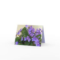 Bluest Blue Violets Greeting Card
