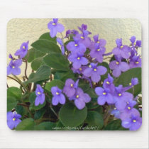 Bluest Blue Violets Mouse Pads