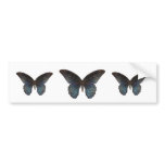 BlueSwallowTail Butterfly Bumper Sticker