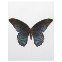 BlueSwallowTail Butterfly Personalized Letterhead