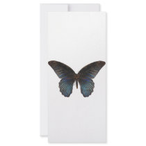 BlueSwallowTail Butterfly Custom Rack Cards