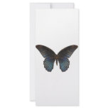 BlueSwallowTail Butterfly rack cards