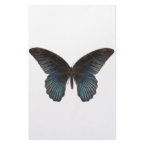BlueSwallowTail Butterfly Stationery Design