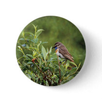 Bluethroat Male Pinback Buttons
