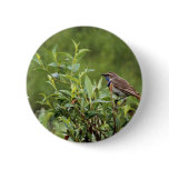 Bluethroat Male buttons