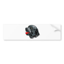 Bluetick Coonhound bumper stickers by Pawdboy Bluetick Coonhound bumper stickers