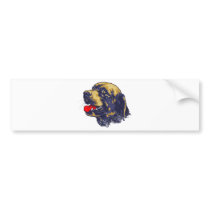 Bluetick Coonhound bumper stickers by Pawdboy Bluetick Coonhound bumper stickers