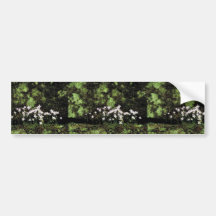 Bluets Bumper Sticker