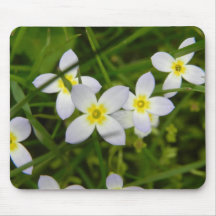 bluets mousepads