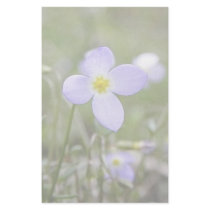 Bluets - Quaker Ladies Stationery