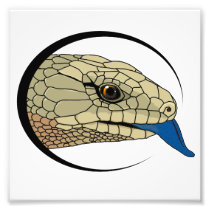 bluey head print (merauke) photograph