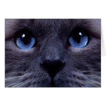 blueyes greeting card